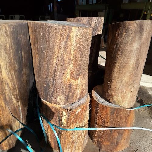 Tronco Macizo de Roble de 45 cm de Alto y 30/40 cm de diámetro