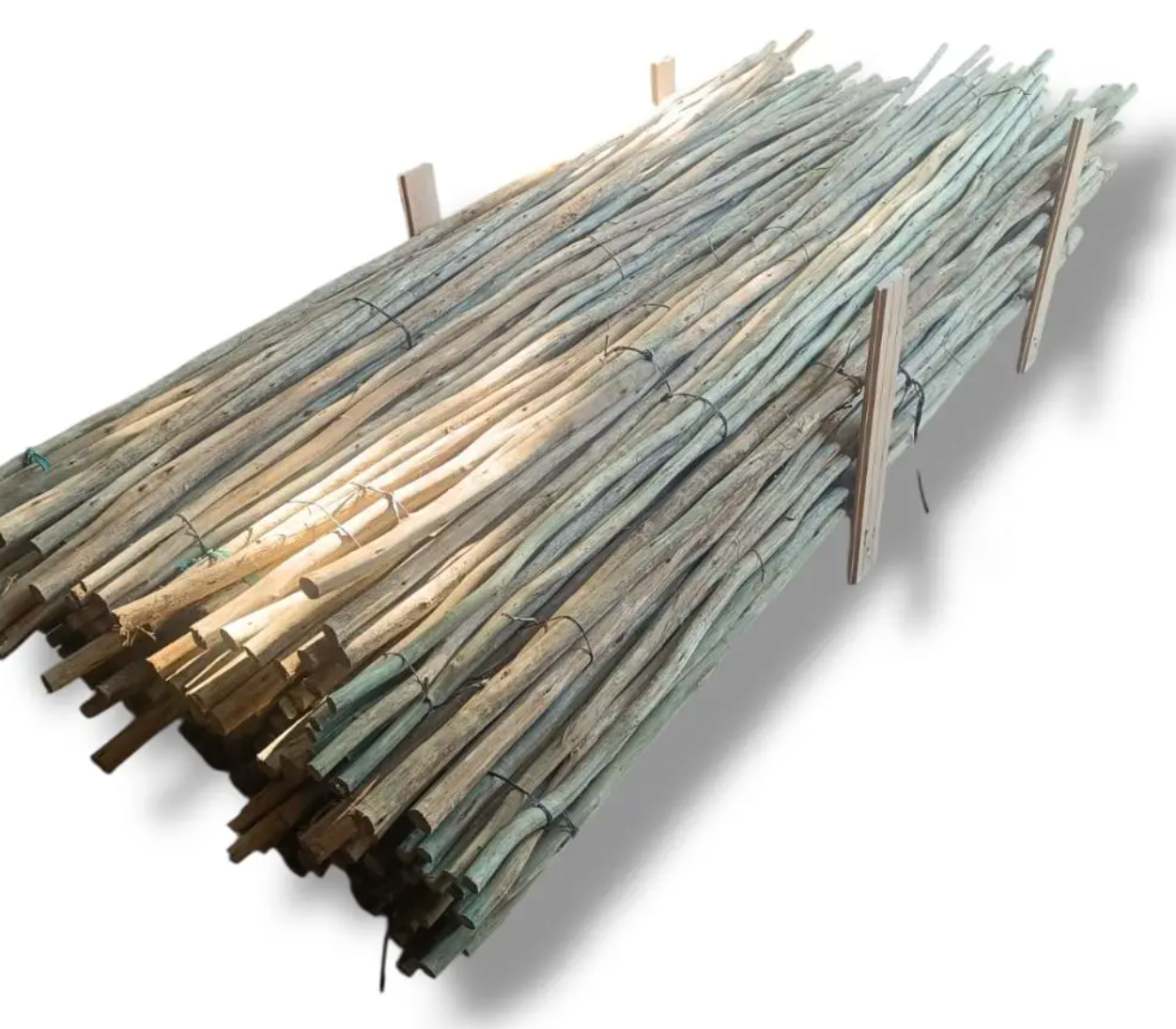 Palos Postes Tratados de Eucalipto