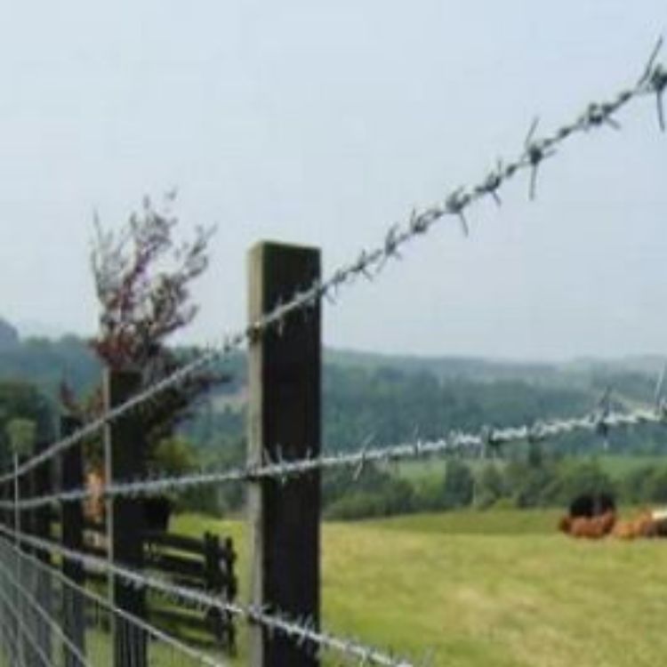 Alambre espino galvanizado 13/15 mm X 100 m