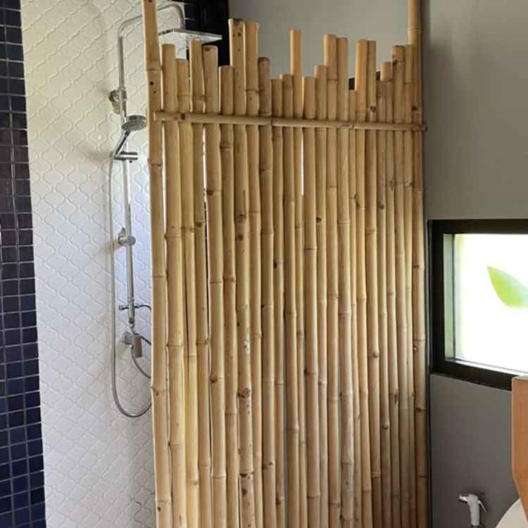 Pack 5 Cañas de Bambú Decorativa