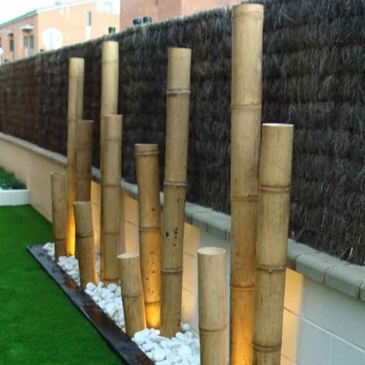 Pack 5 Cañas de Bambú Decorativa