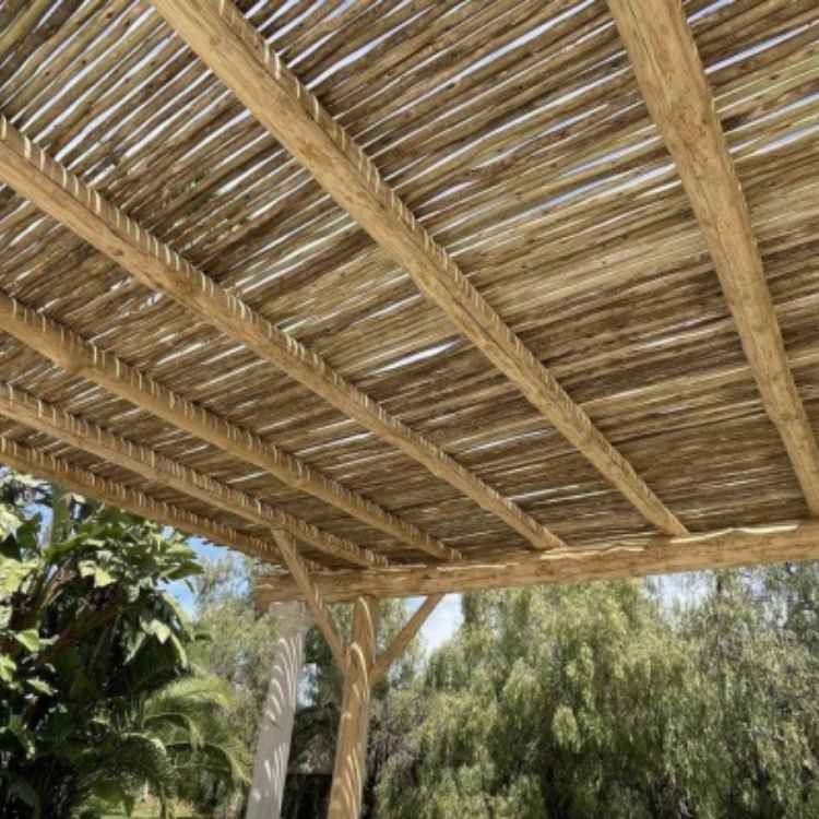 Palos Postes Tratados de Eucalipto