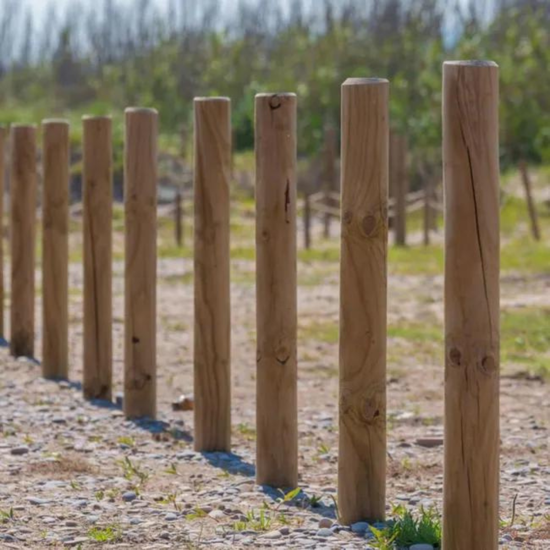 Pack de 5 postes redondos de pino tratados y calibrados con punta
