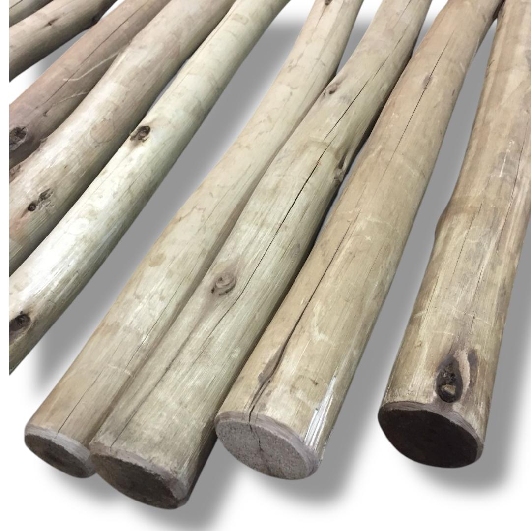Palos Postes Tratados de Eucalipto
