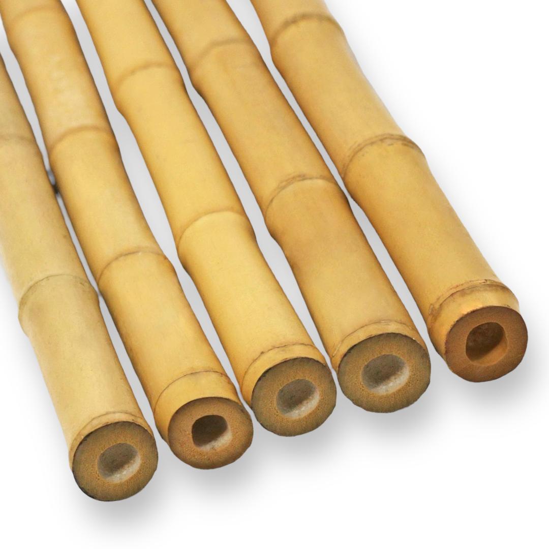 Pack 5 Cañas de Bambú Decorativa