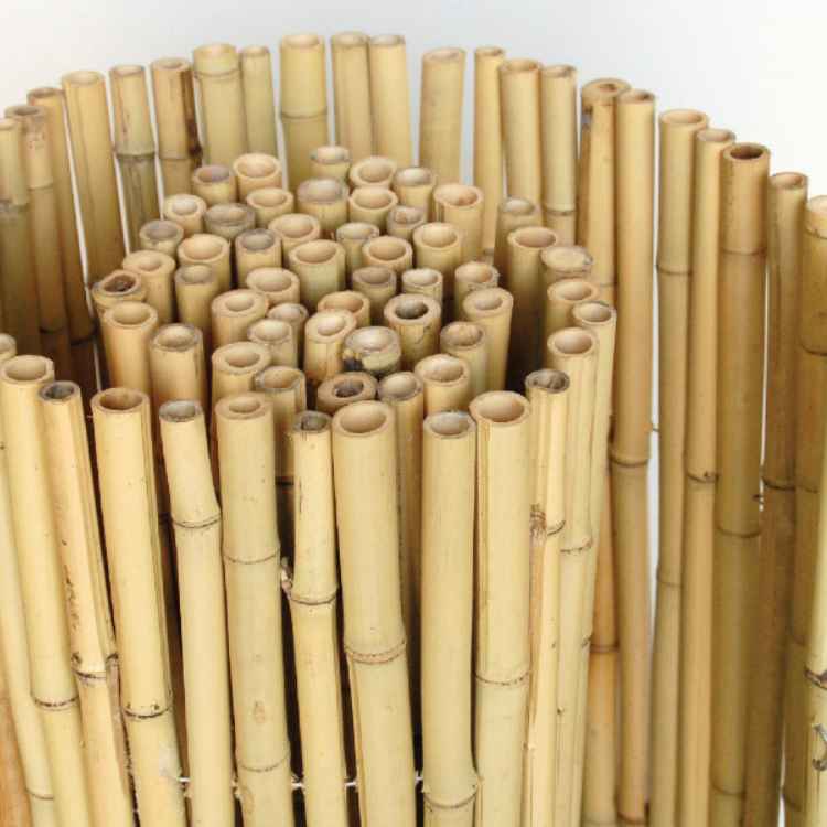Rollos para Vallas de Cañas de Bambú Natural